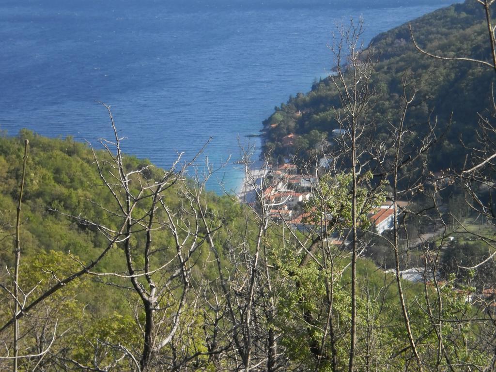 Apartment Haldej Mošćenička Draga Стая снимка